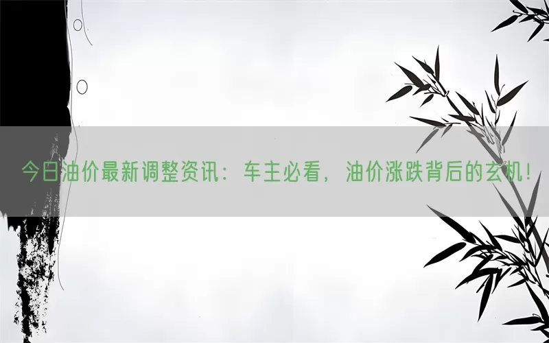 今日油价最新调整资讯：车主必看，油价涨跌背后的玄机！(pic1)