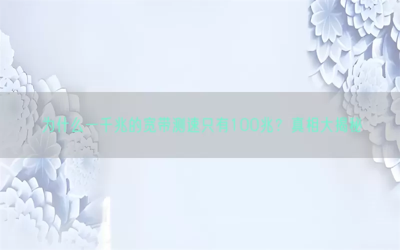 为什么一千兆的宽带测速只有100兆？真相大揭秘(pic1)