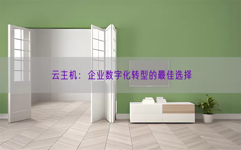 云主机：企业数字化转型的最佳选择(pic1)