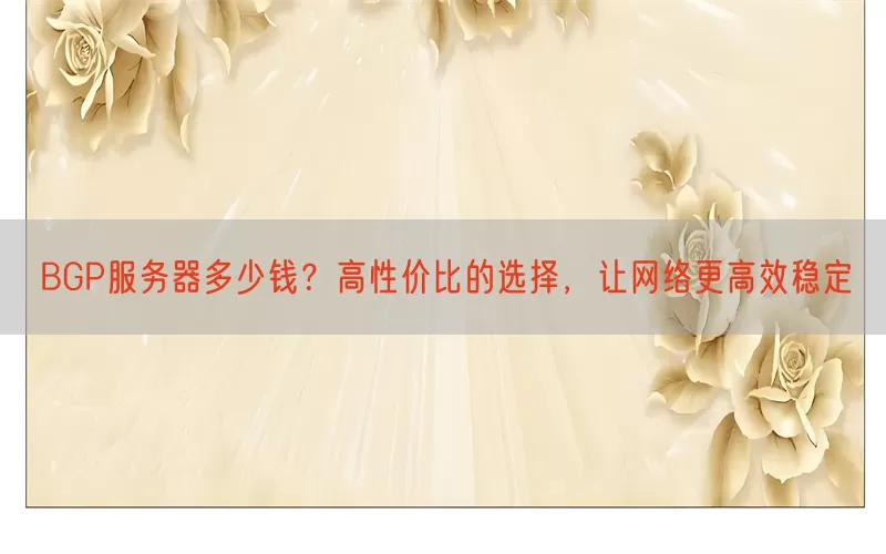 BGP服务器多少钱？高性价比的选择，让网络更高效稳定(pic1)