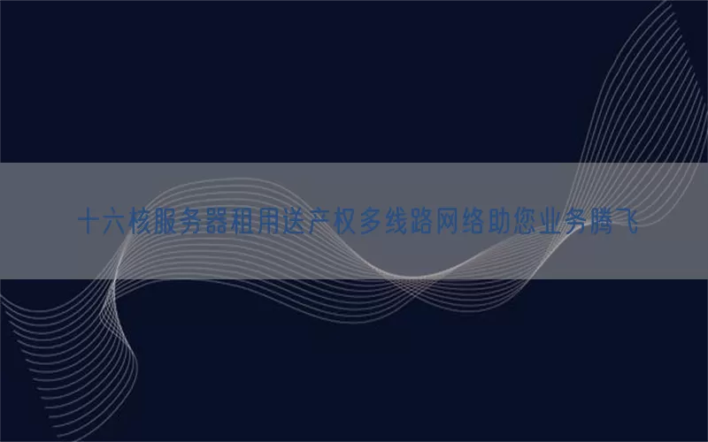 十六核服务器租用送产权多线路网络助您业务腾飞(pic1)