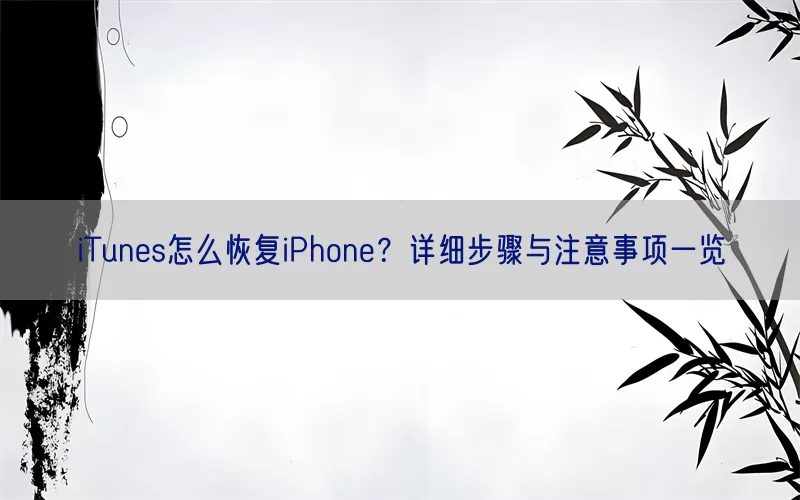 iTunes怎么恢复iPhone？详细步骤与注意事项一览(pic1)