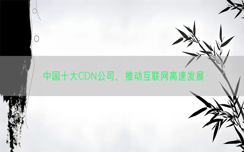 中国十大CDN公司，推动互联网高速发展(pic1)