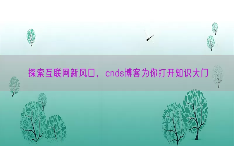 探索互联网新风口，cnds博客为你打开知识大门(pic1)