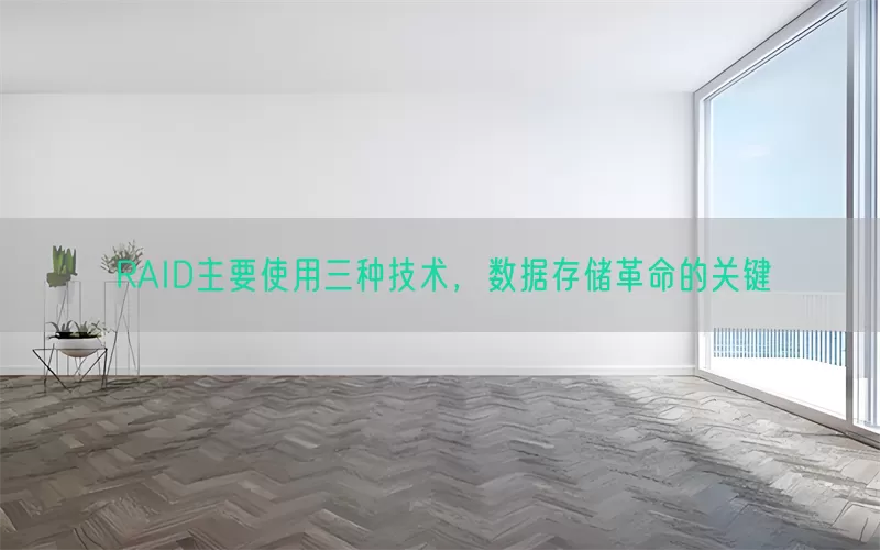 RAID主要使用三种技术，数据存储革命的关键(pic1)