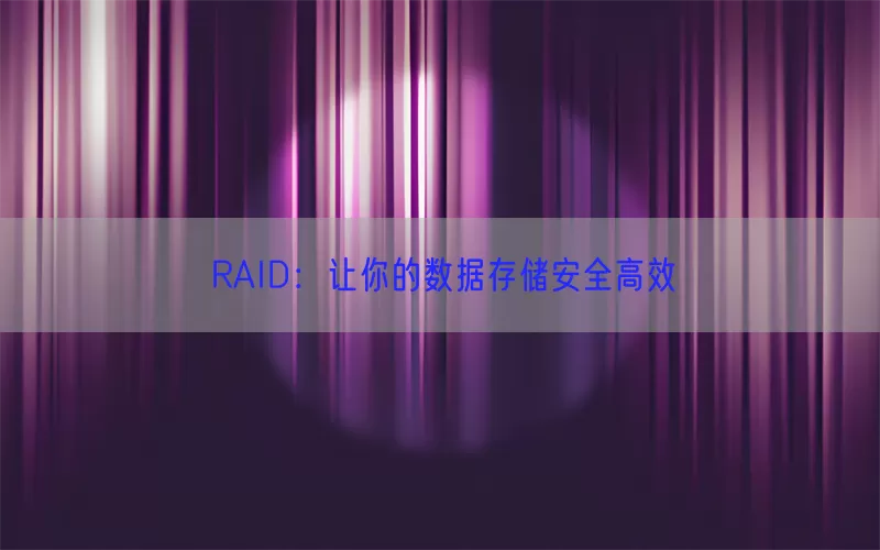 RAID：让你的数据存储安全高效(pic1)