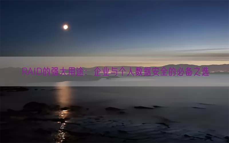 RAID的强大用途：企业与个人数据安全的必备之选(pic1)