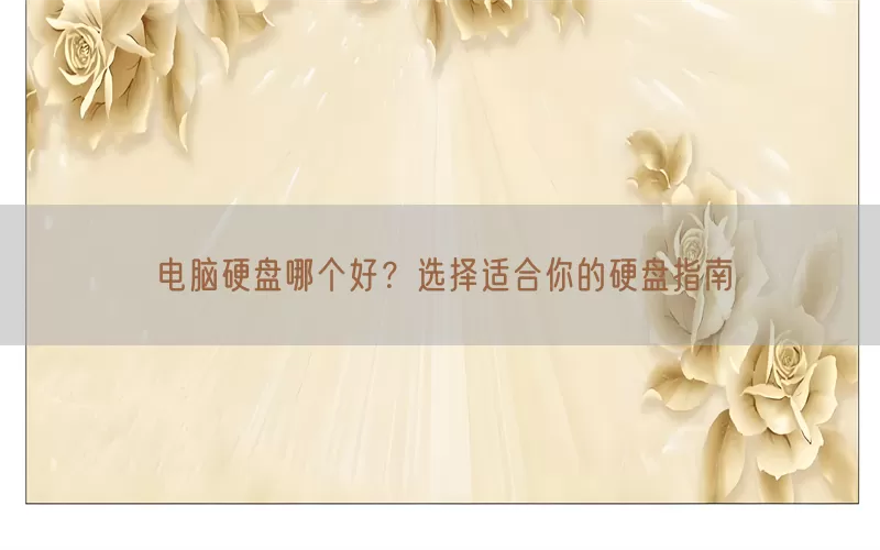电脑硬盘哪个好？选择适合你的硬盘指南(pic1)