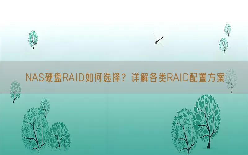 NAS硬盘RAID如何选择？详解各类RAID配置方案(pic1)