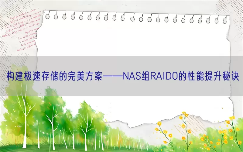 构建极速存储的完美方案——NAS组RAID0的性能提升秘诀(pic1)