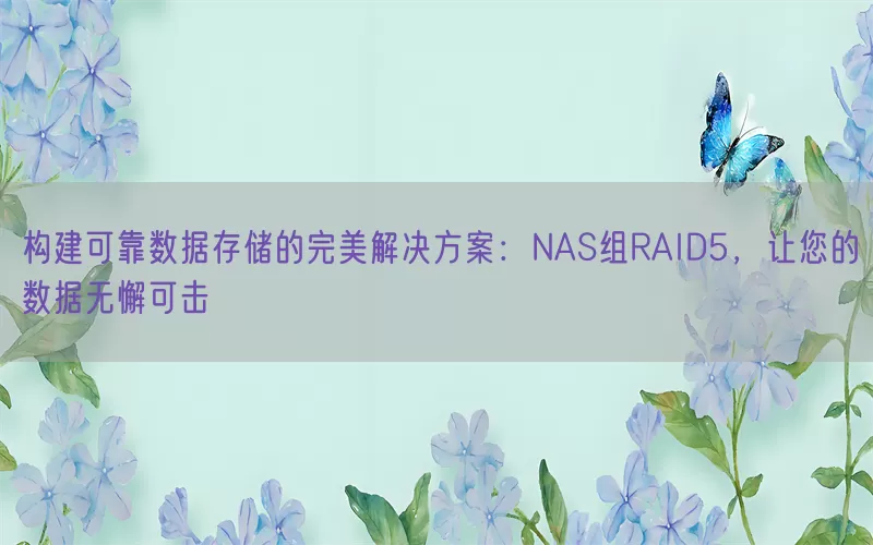 构建可靠数据存储的完美解决方案：NAS组RAID5，让您的数据无懈可击(pic1)