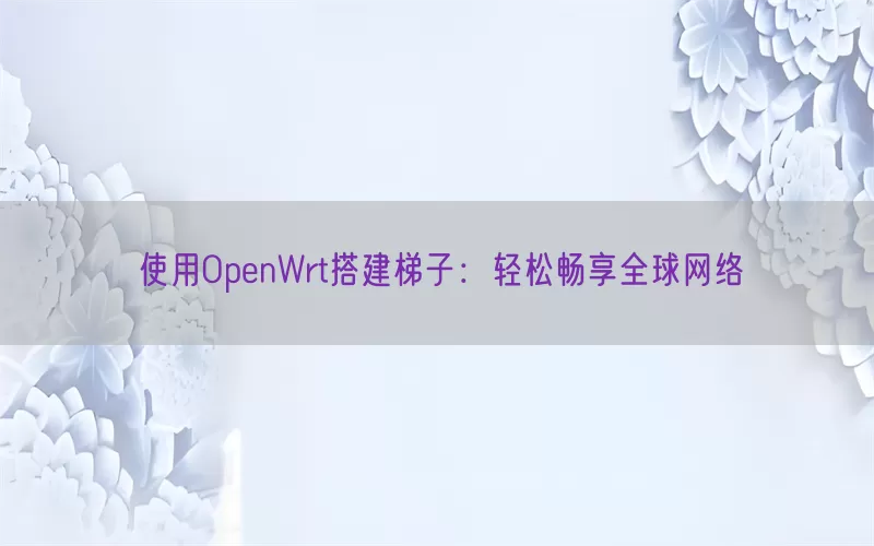 使用OpenWrt搭建梯子：轻松畅享全球网络(pic1)