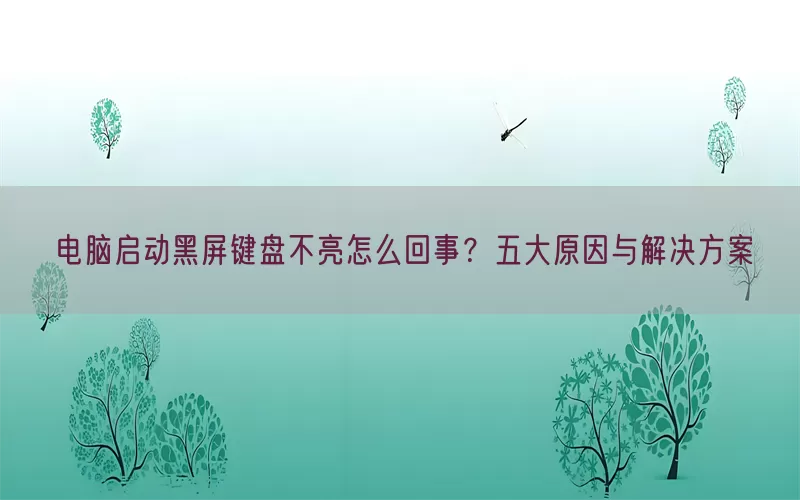 电脑启动黑屏键盘不亮怎么回事？五大原因与解决方案(pic1)