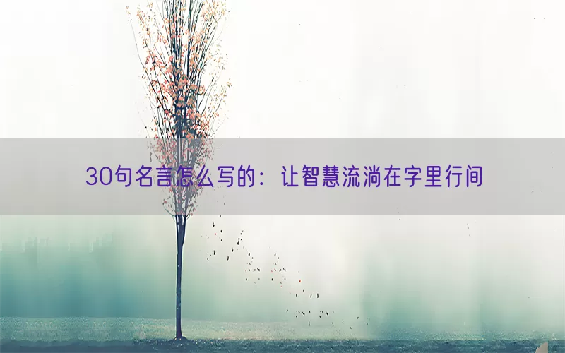 30句名言怎么写的：让智慧流淌在字里行间(pic1)