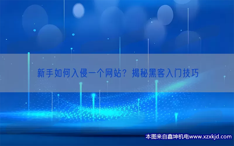 新手如何入侵一个网站？揭秘黑客入门技巧(pic1)