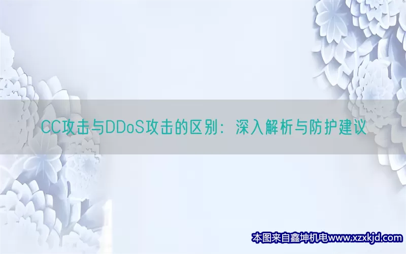 CC攻击与DDoS攻击的区别：深入解析与防护建议(pic1)