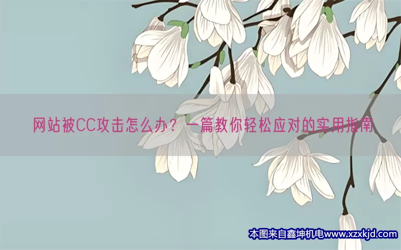 网站被CC攻击怎么办？一篇教你轻松应对的实用指南(pic1)