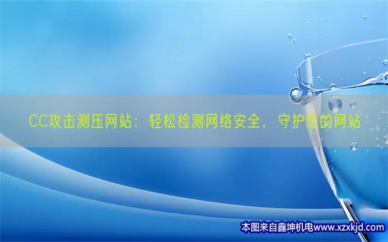 CC攻击测压网站：轻松检测网络安全，守护您的网站(pic1)