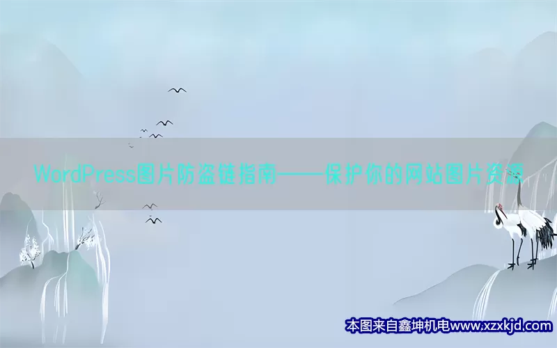 WordPress图片防盗链指南——保护你的网站图片资源(pic1)
