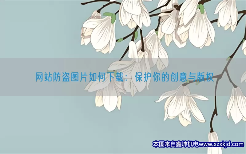 网站防盗图片如何下载：保护你的创意与版权(pic1)
