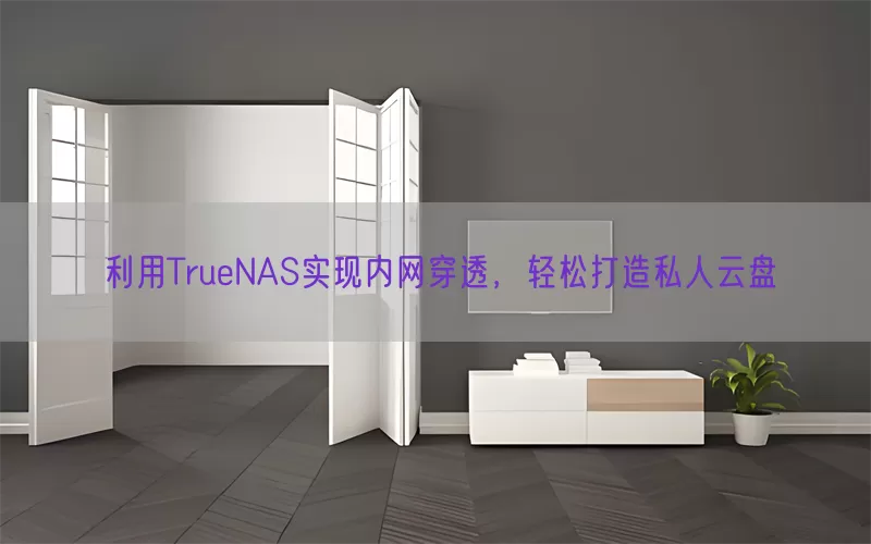 利用TrueNAS实现内网穿透，轻松打造私人云盘