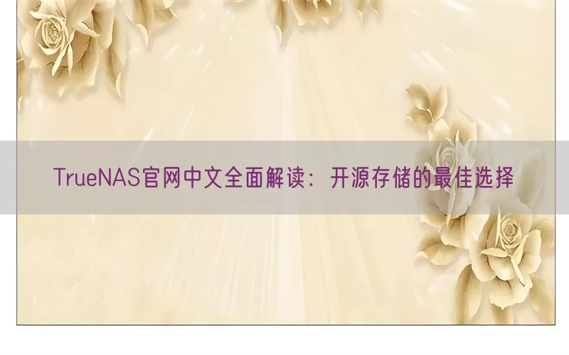 TrueNAS官网中文全面解读：开源存储的最佳选择
