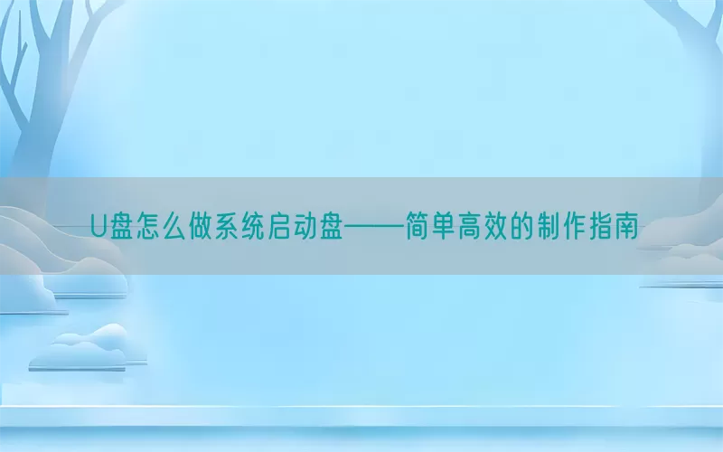 U盘怎么做系统启动盘——简单高效的制作指南