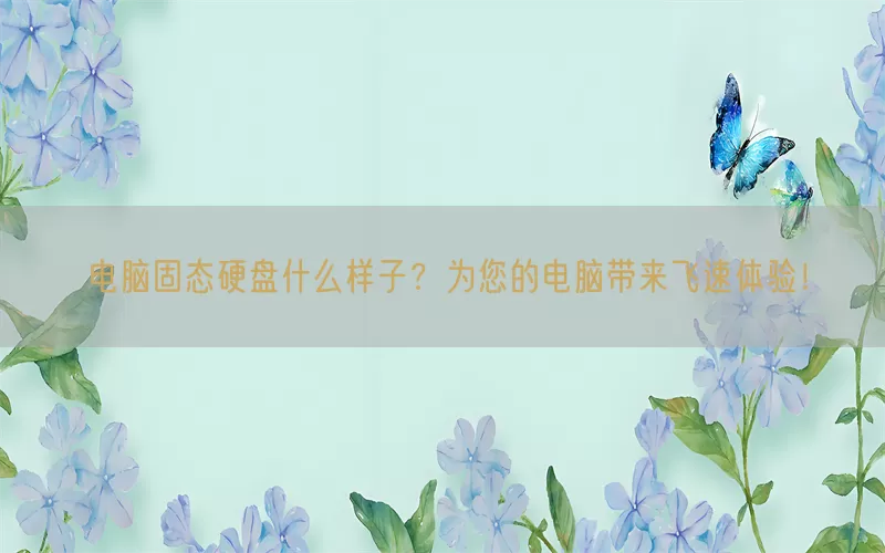 电脑固态硬盘什么样子？为您的电脑带来飞速体验！