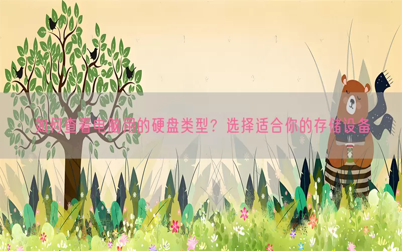 如何查看电脑用的硬盘类型？选择适合你的存储设备