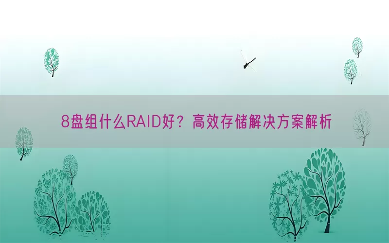 8盘组什么RAID好？高效存储解决方案解析