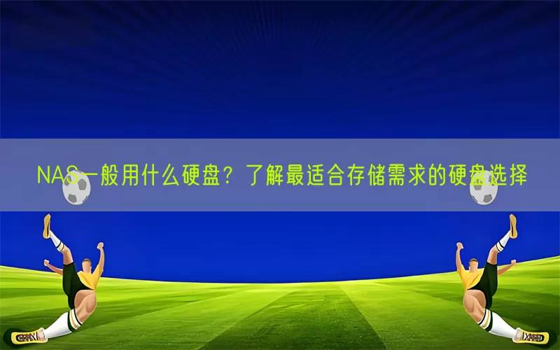 NAS一般用什么硬盘？了解最适合存储需求的硬盘选择