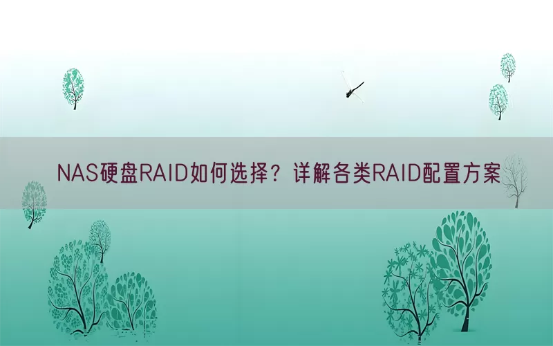 NAS硬盘RAID如何选择？详解各类RAID配置方案