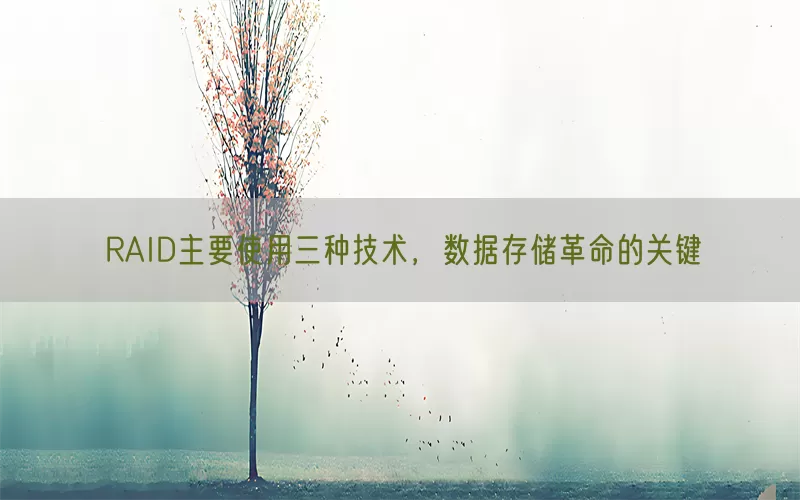 RAID主要使用三种技术，数据存储革命的关键