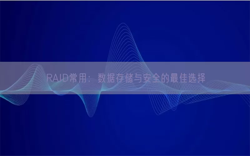 RAID常用：数据存储与安全的最佳选择
