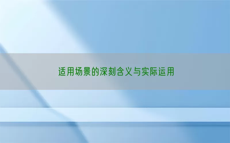 适用场景的深刻含义与实际运用