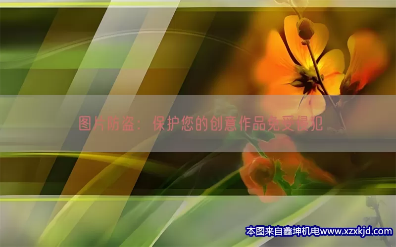 图片防盗：保护您的创意作品免受侵犯(pic1)