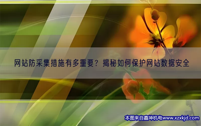 网站防采集措施有多重要？揭秘如何保护网站数据安全(pic1)