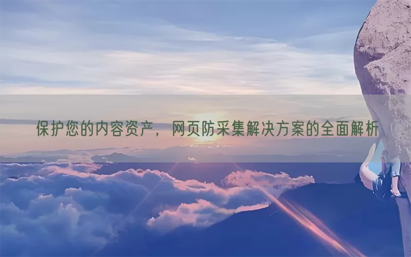保护您的内容资产，网页防采集解决方案的全面解析