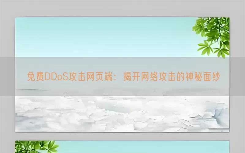 免费DDoS攻击网页端：揭开网络攻击的神秘面纱