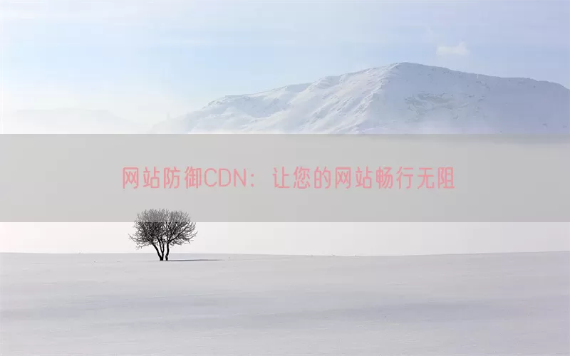 网站防御CDN:让您的网站畅行无阻