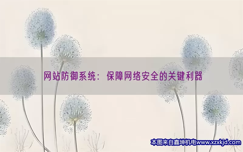 网站防御系统：保障网络安全的关键利器(pic1)