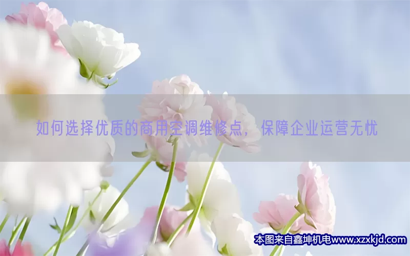 如何选择优质的商用空调维修点，保障企业运营无忧(pic1)