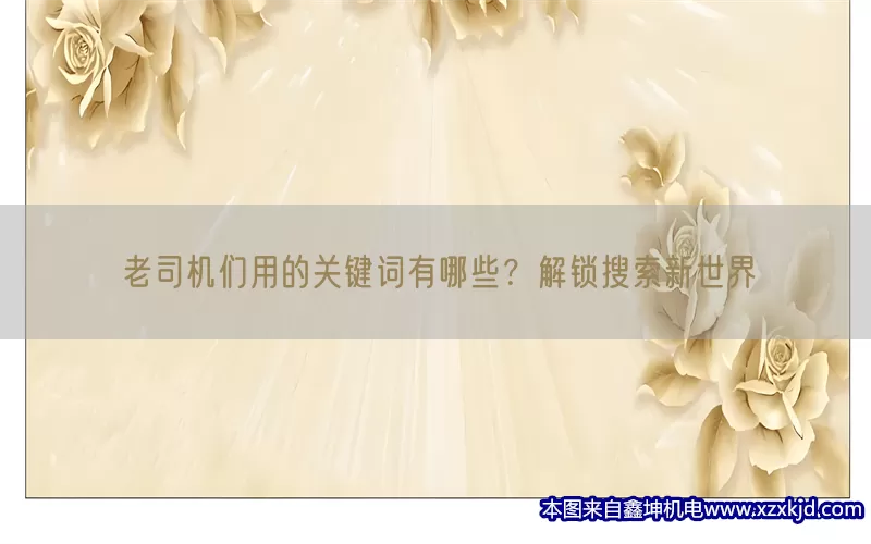 老司机们用的关键词有哪些？解锁搜索新世界(pic1)