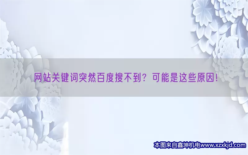 网站关键词突然百度搜不到？可能是这些原因！(pic1)