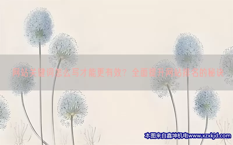 网站关键词怎么写才能更有效？全面提升网站排名的秘诀(pic1)