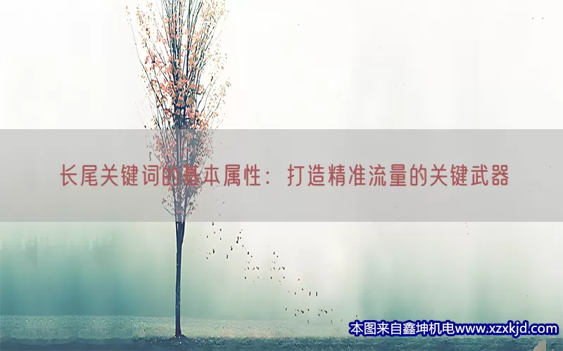长尾关键词的基本属性：打造精准流量的关键武器(pic1)