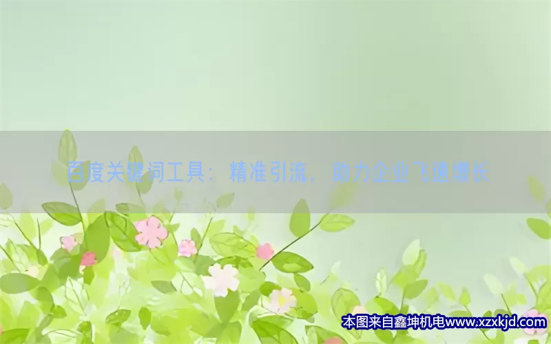 百度关键词工具：精准引流，助力企业飞速增长(pic1)