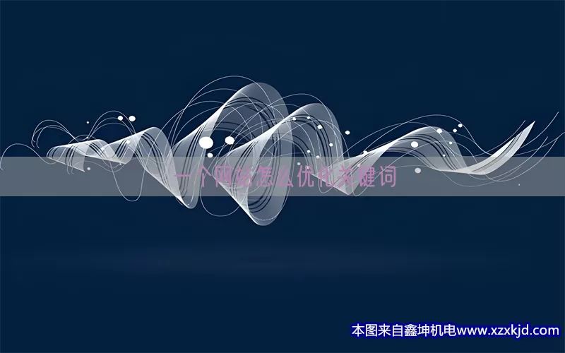 一个网站怎么优化关键词(pic1)