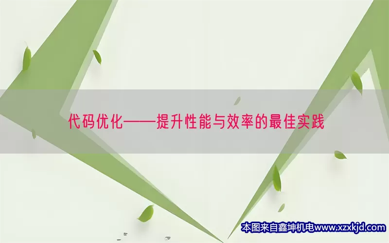 代码优化——提升性能与效率的最佳实践(pic1)