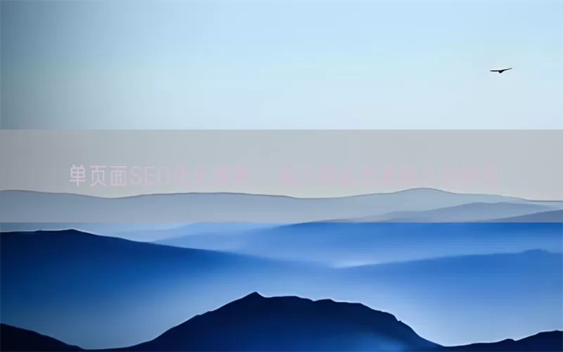 单页面SEO优化策略，助力网站流量飙升的秘密